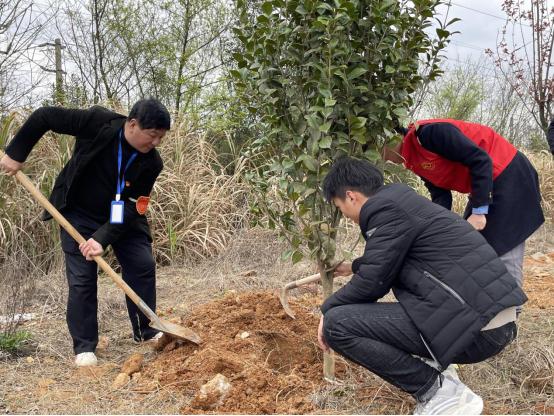 志愿服务在向远||助力植树节，彰显向远力量