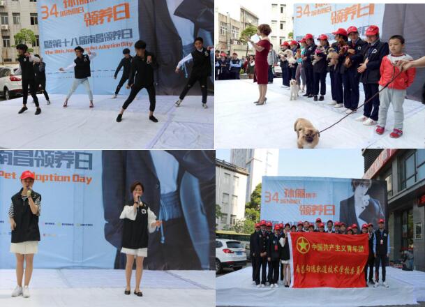 南昌铁路学校青协参加第三届中国同日领养日暨第十八届南昌领养日公益活动（学生心得）