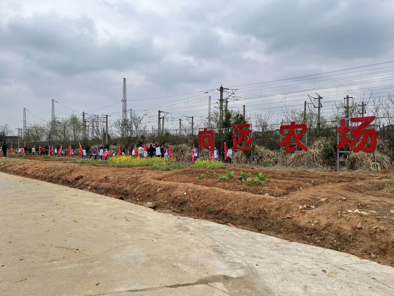 志愿服务在向远||助力植树节，彰显向远力量