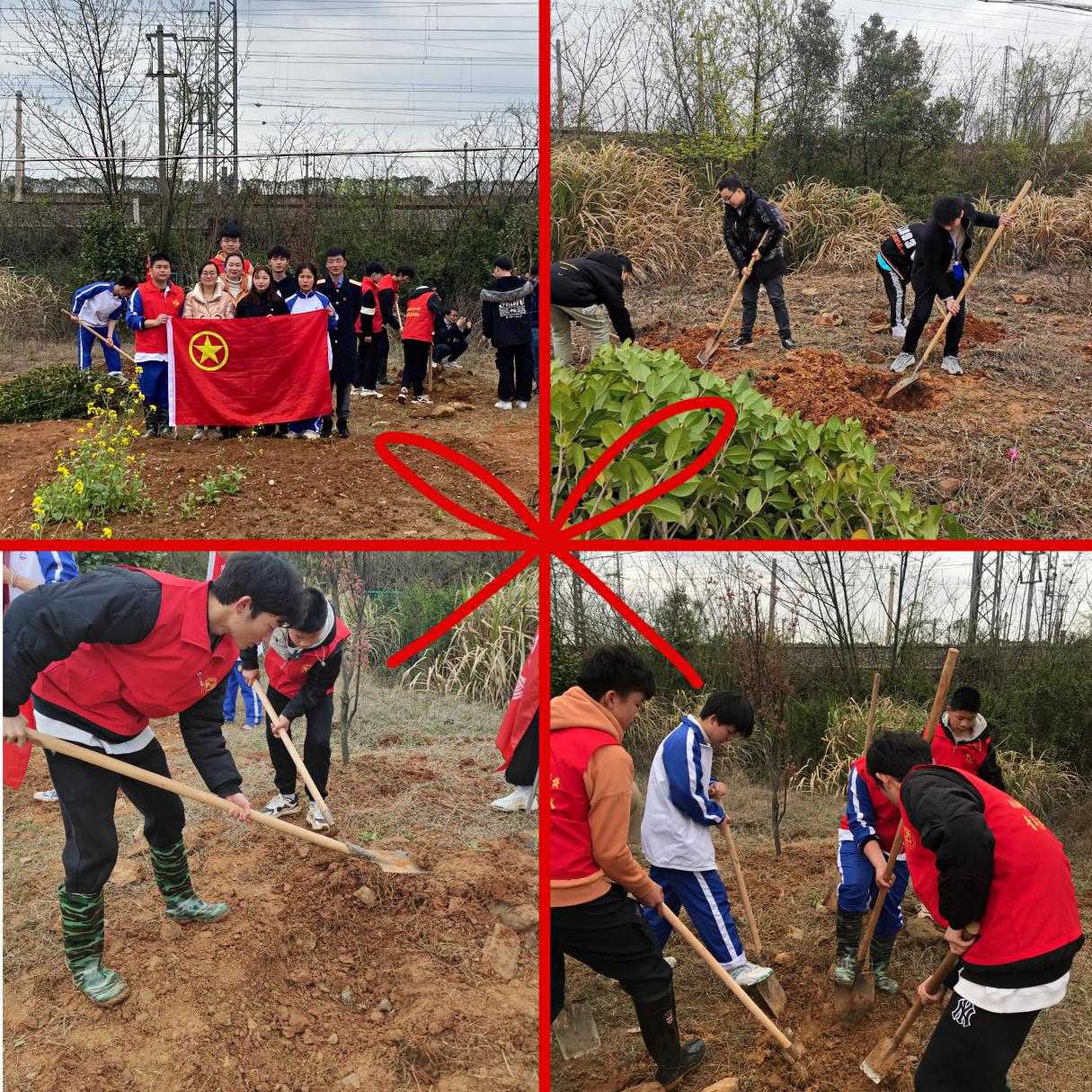 志愿服务在向远||助力植树节，彰显向远力量